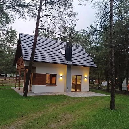 Szepczace Sosenki Na Wynajem *