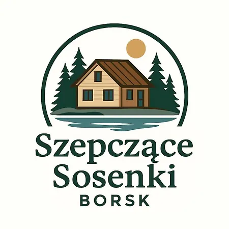 Szepczace Sosenki Na Wynajem Ferienhaus Borsk