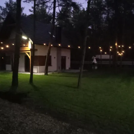 Szepczace Sosenki Na Wynajem